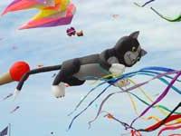 猫气球和彩色风筝